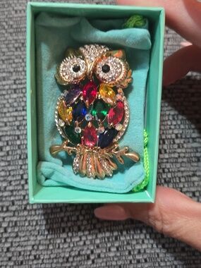 Multicolor Crystal Owl Brooch Pin